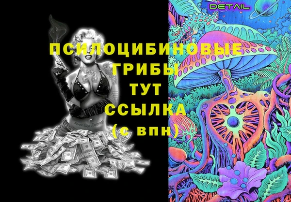 ешки Арсеньев