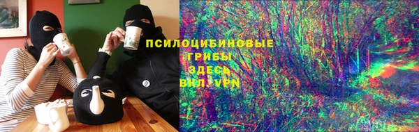 ГАЛЛЮЦИНОГЕННЫЕ ГРИБЫ Алзамай