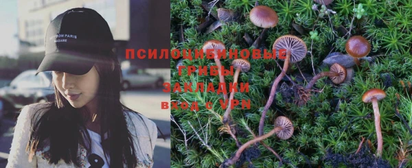 ГАЛЛЮЦИНОГЕННЫЕ ГРИБЫ Алзамай