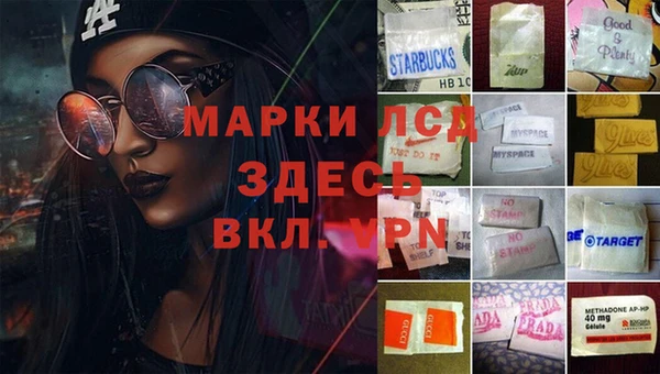 ГАЛЛЮЦИНОГЕННЫЕ ГРИБЫ Алзамай