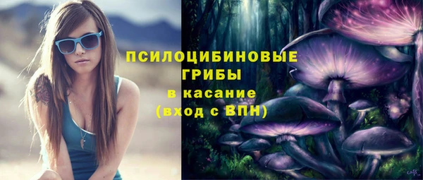 крисы Армянск