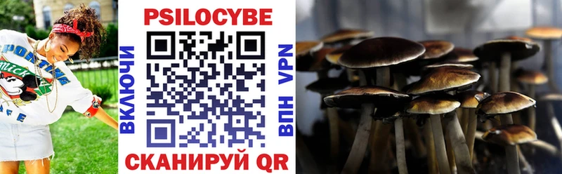 Псилоцибиновые грибы Psilocybine cubensis  Новомосковск 